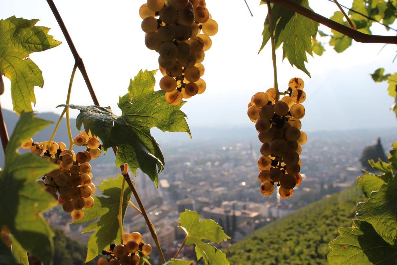 Weingut Eberlehof Apartment Bolzano Bagian luar foto