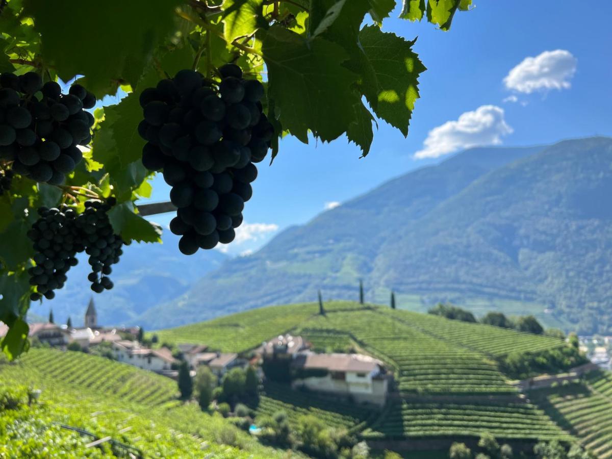 Weingut Eberlehof Apartment Bolzano Bagian luar foto