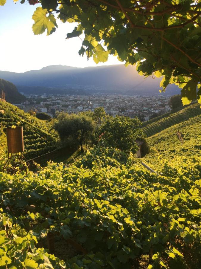 Weingut Eberlehof Apartment Bolzano Bagian luar foto